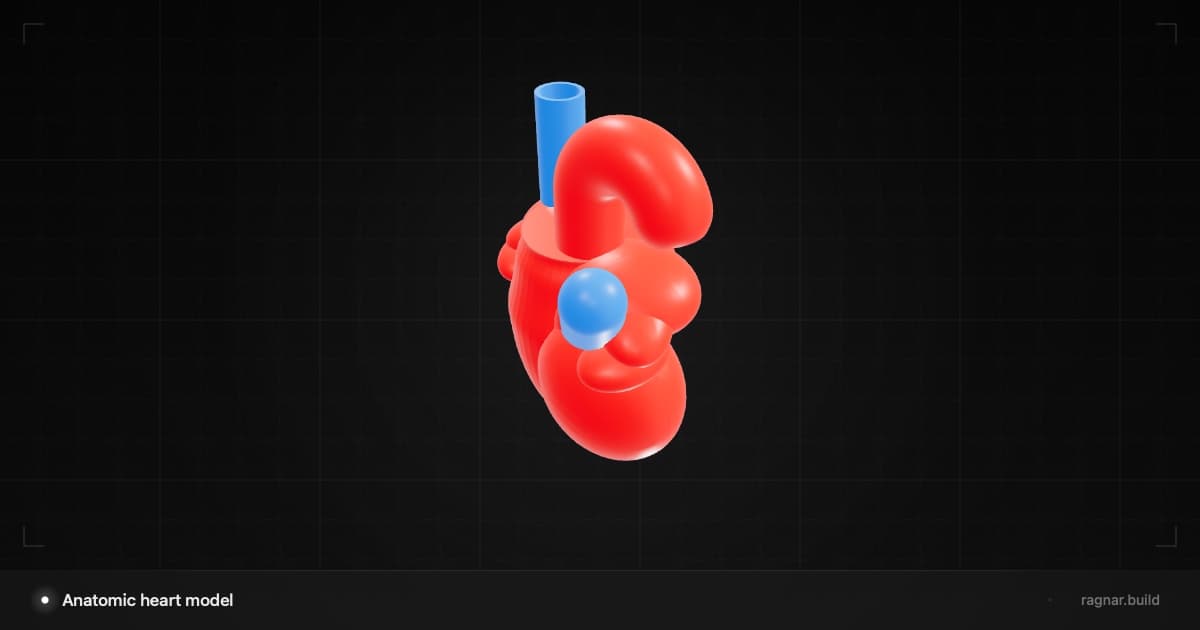 Anatomic heart model
