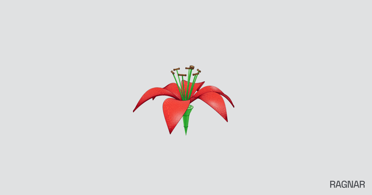 Detailed Lily Flower
