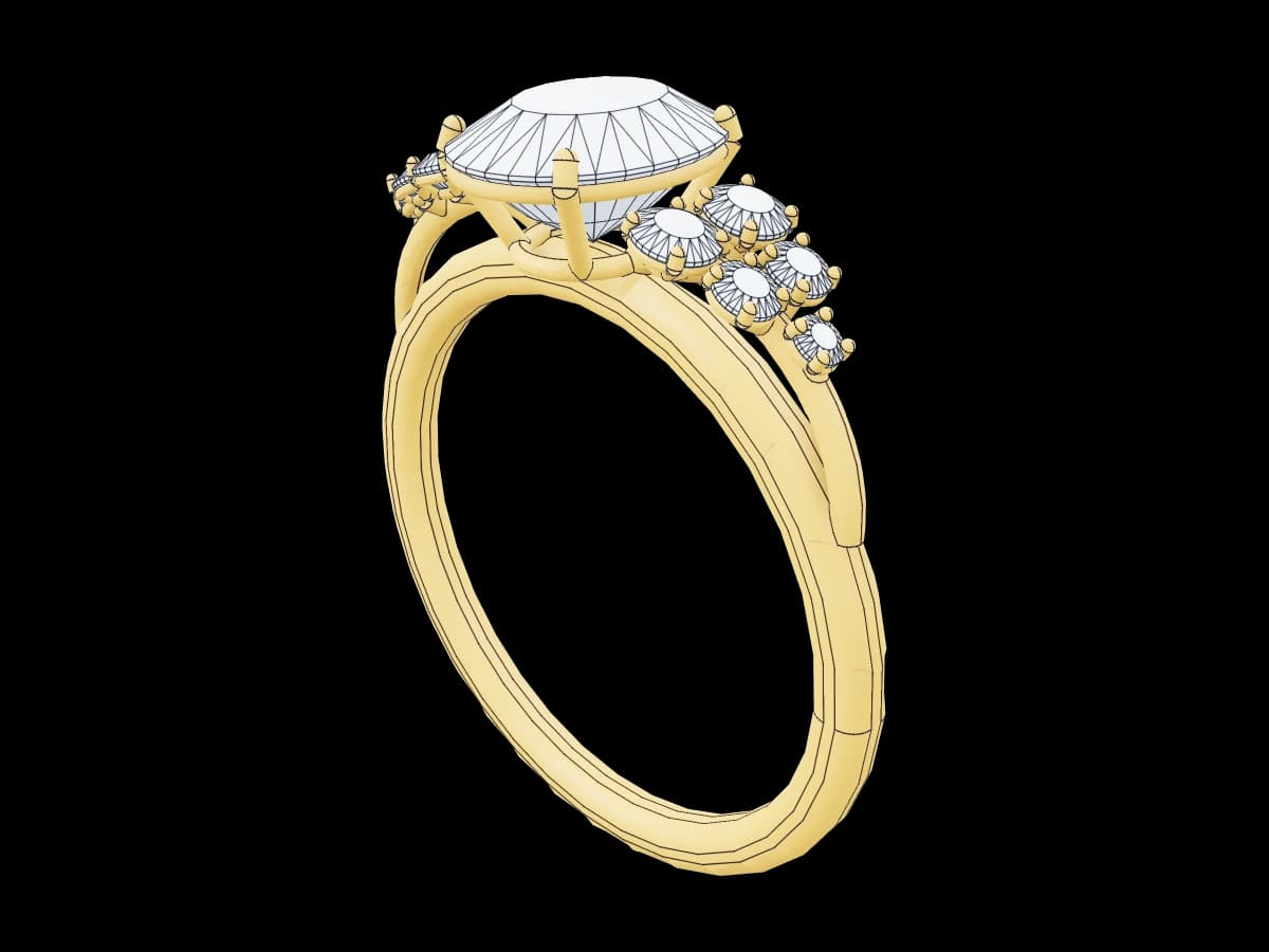 Custom ring model