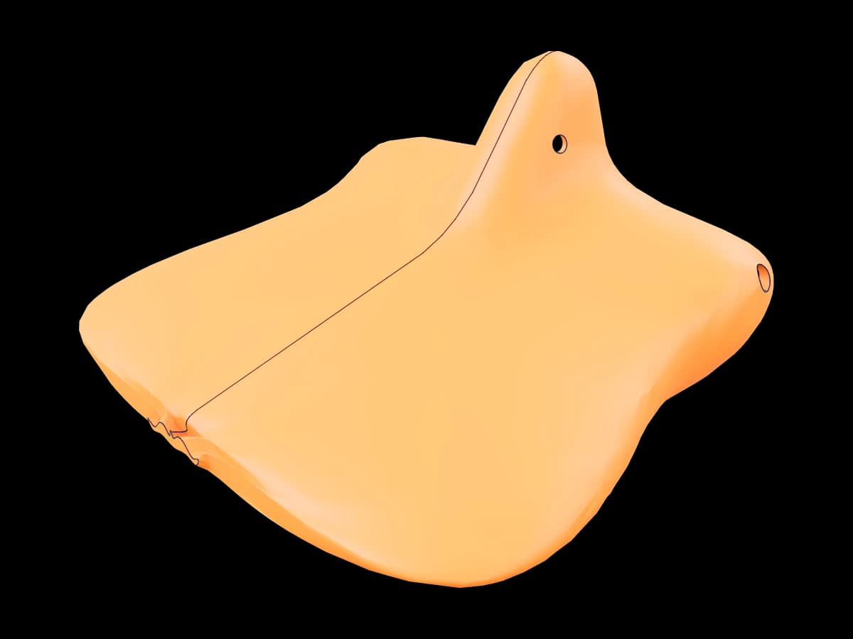 Perry Platypus Mask