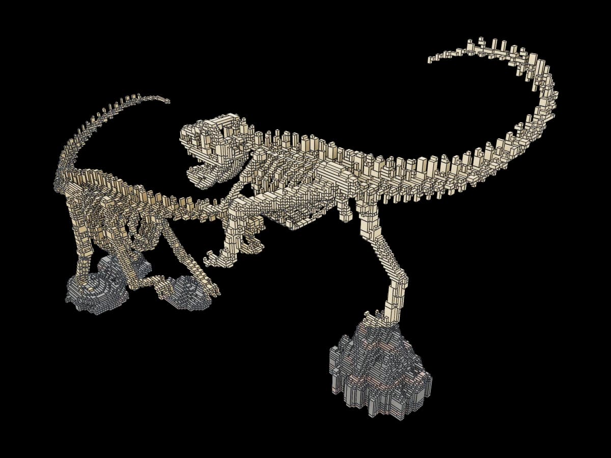 Dinosaur Fossil Skeletons
