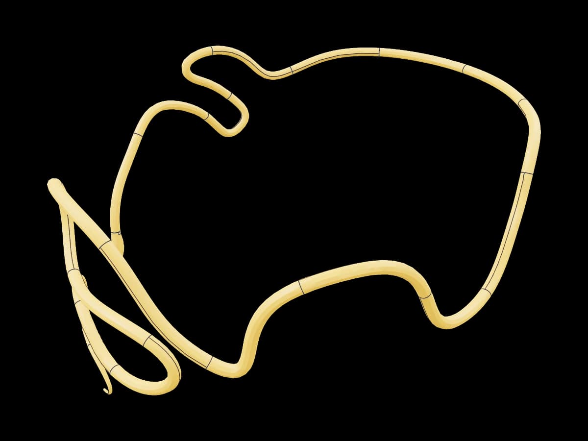 Gold Serpent Crown