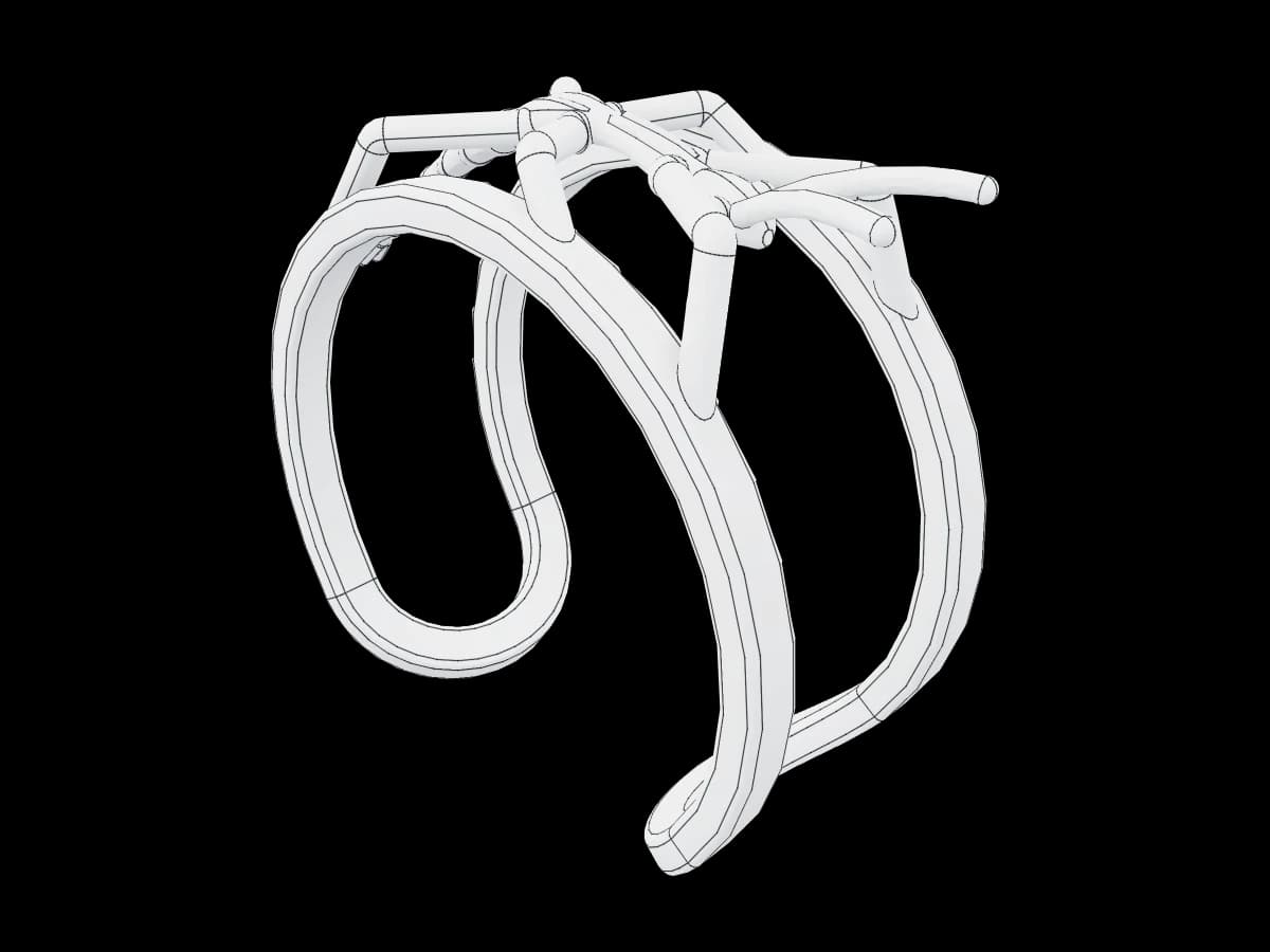 Anillo Personalizado