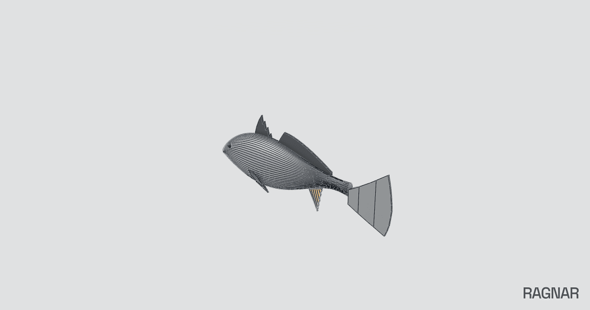Southern kingfish model