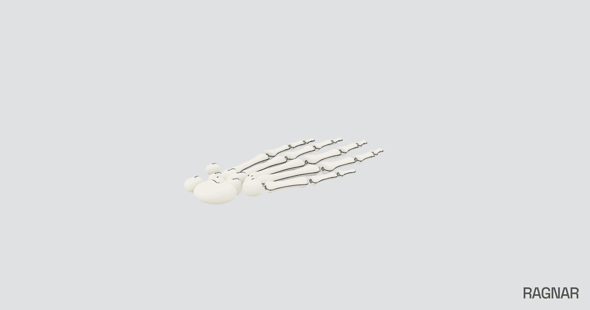 Articulated skeleton hand