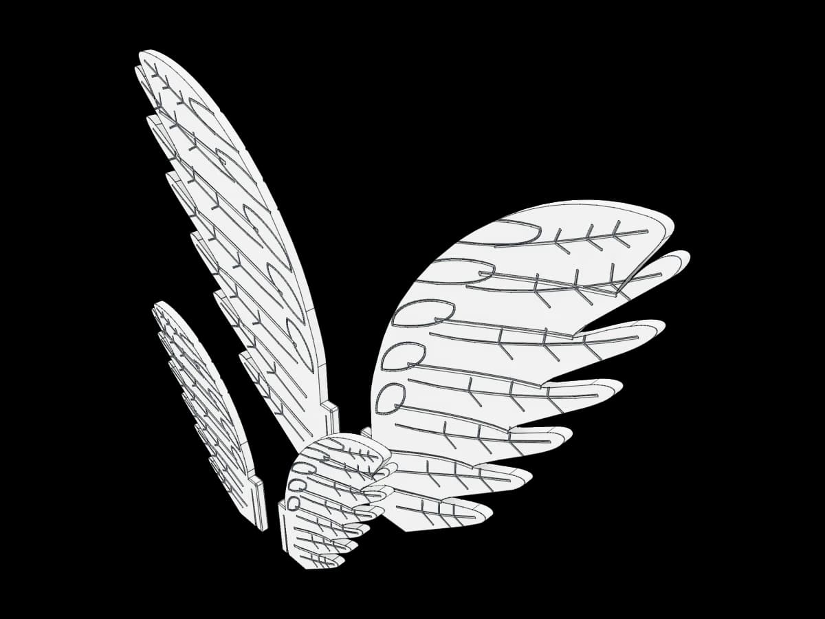 Soda Bottle Wings