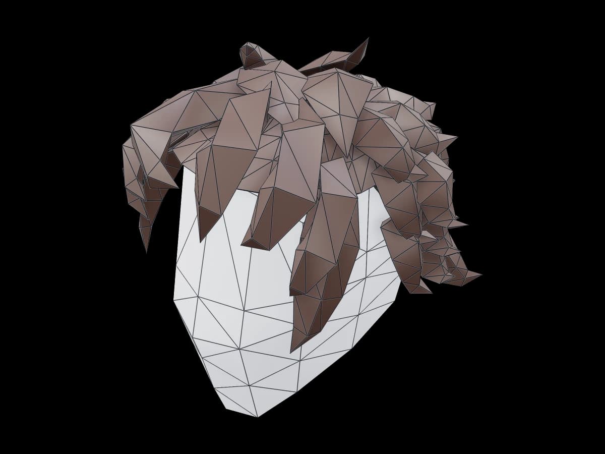 Low Polygon Tousled Hair