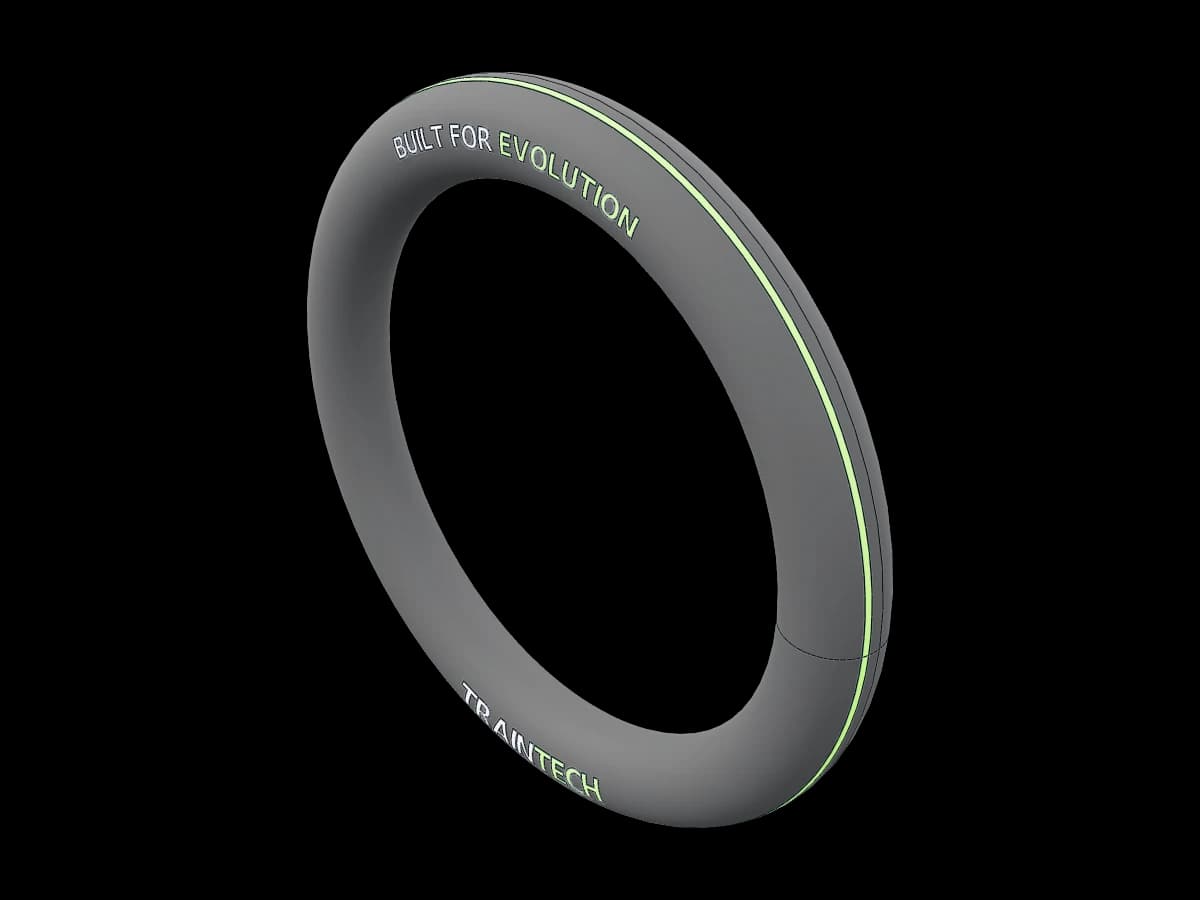 Traintech Gymnastics Ring