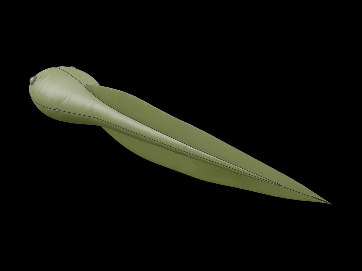 Long Tailed Tadpole