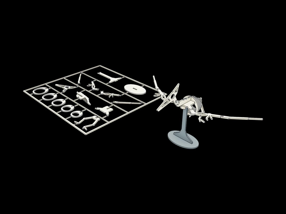 Pterodactyl Bone Puzzle Kit