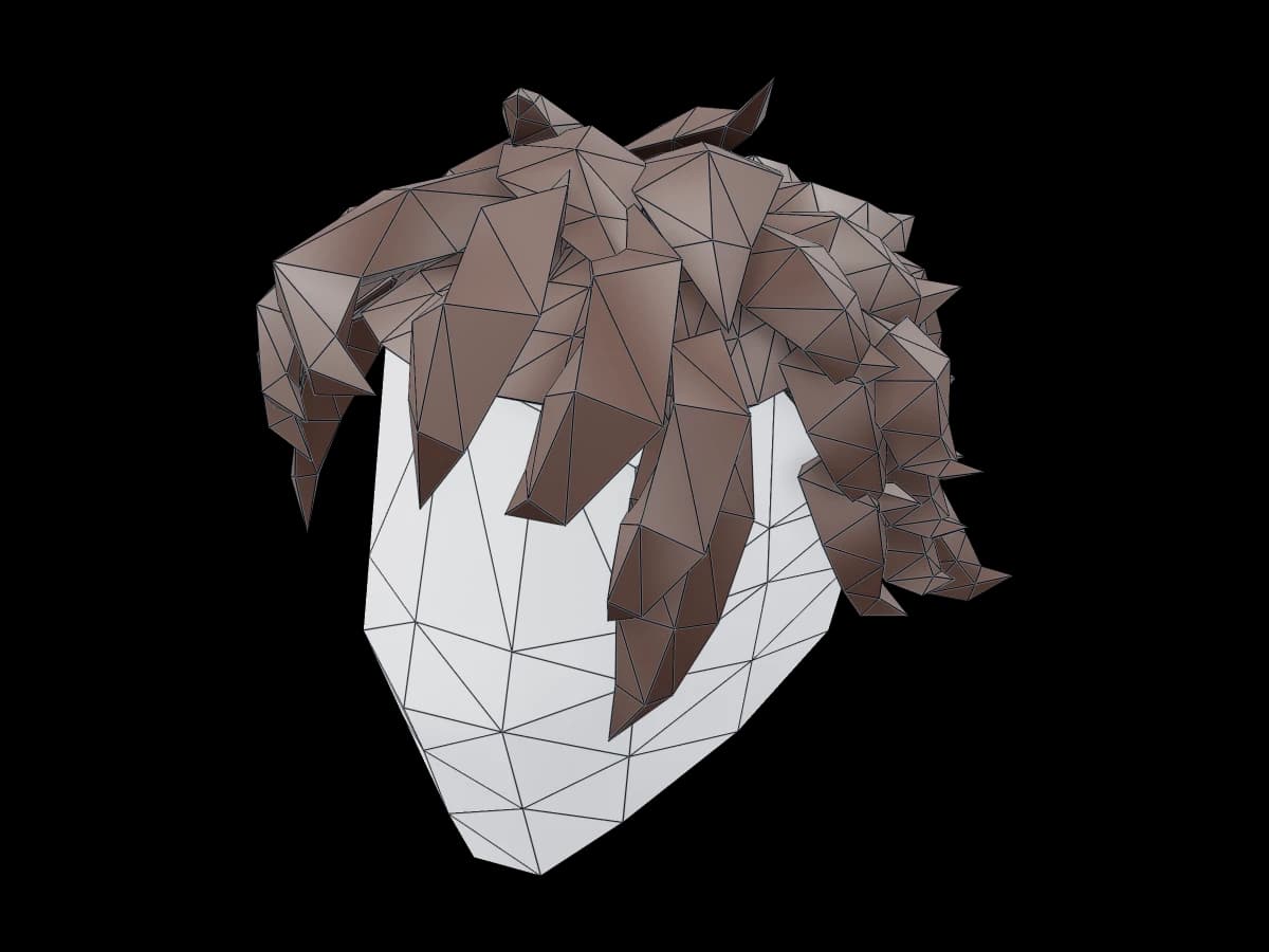 Low Polygon Tousled Hair