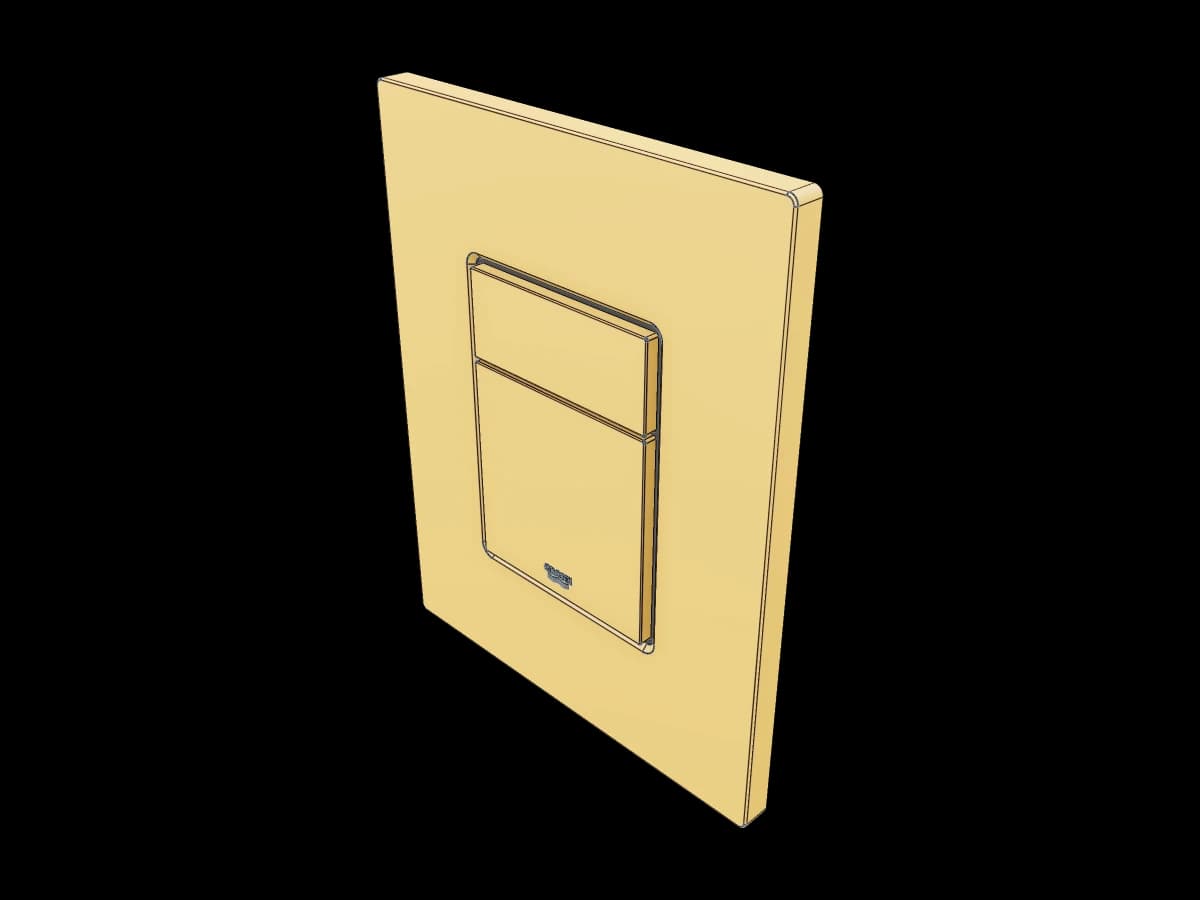 Gold Dual Flush Plate