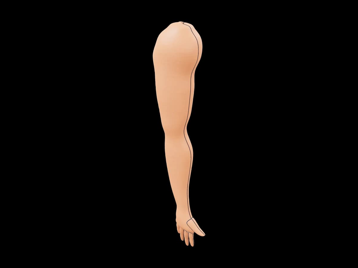 Three Dimensional Arm