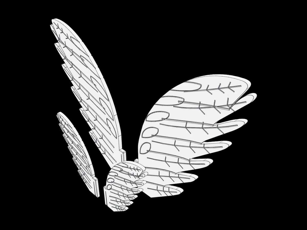 Soda Bottle Wings