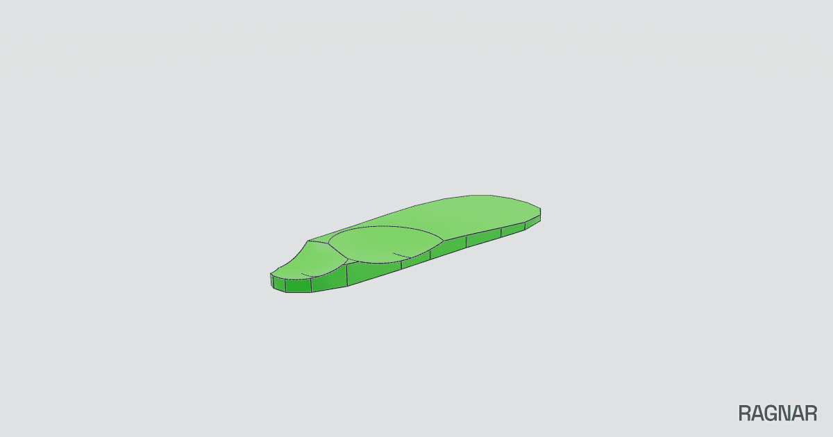Custom shoe insole