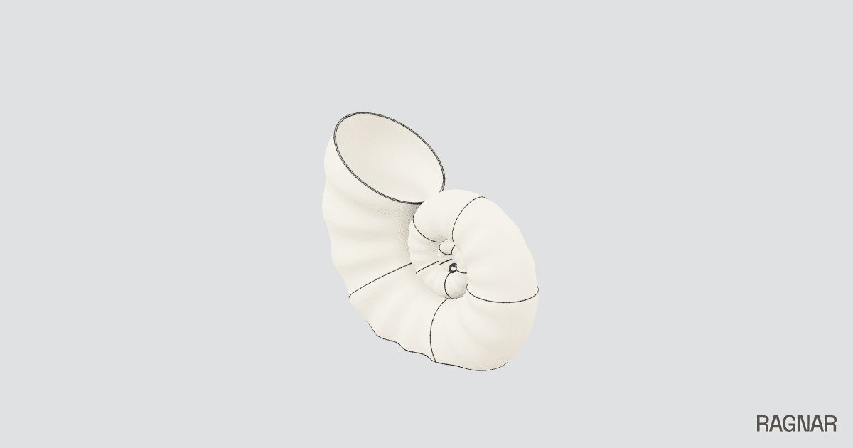 Nautilus Shell Lamp