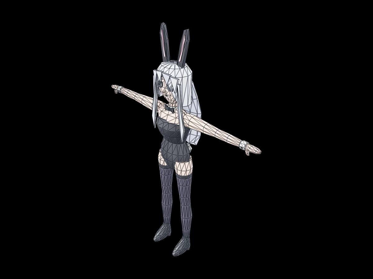 Bunny Suit Girl