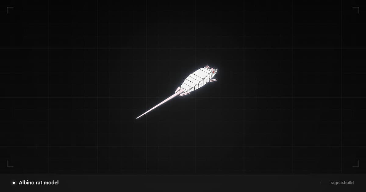 Albino rat model