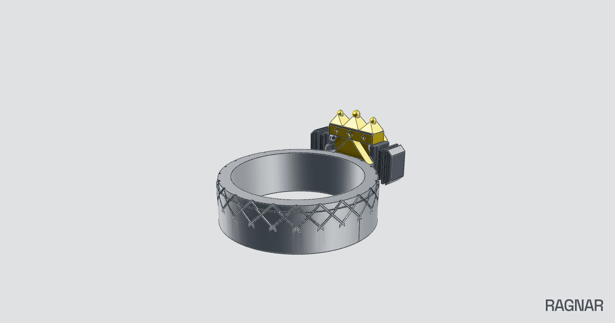 Jewelry Ring