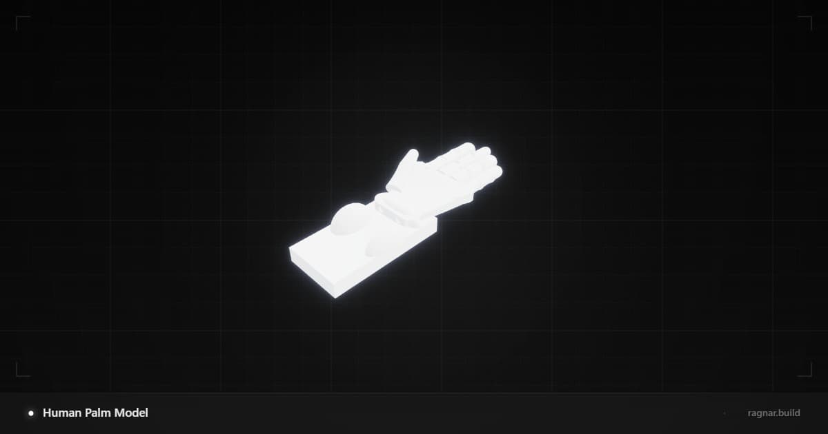 Human Palm Model