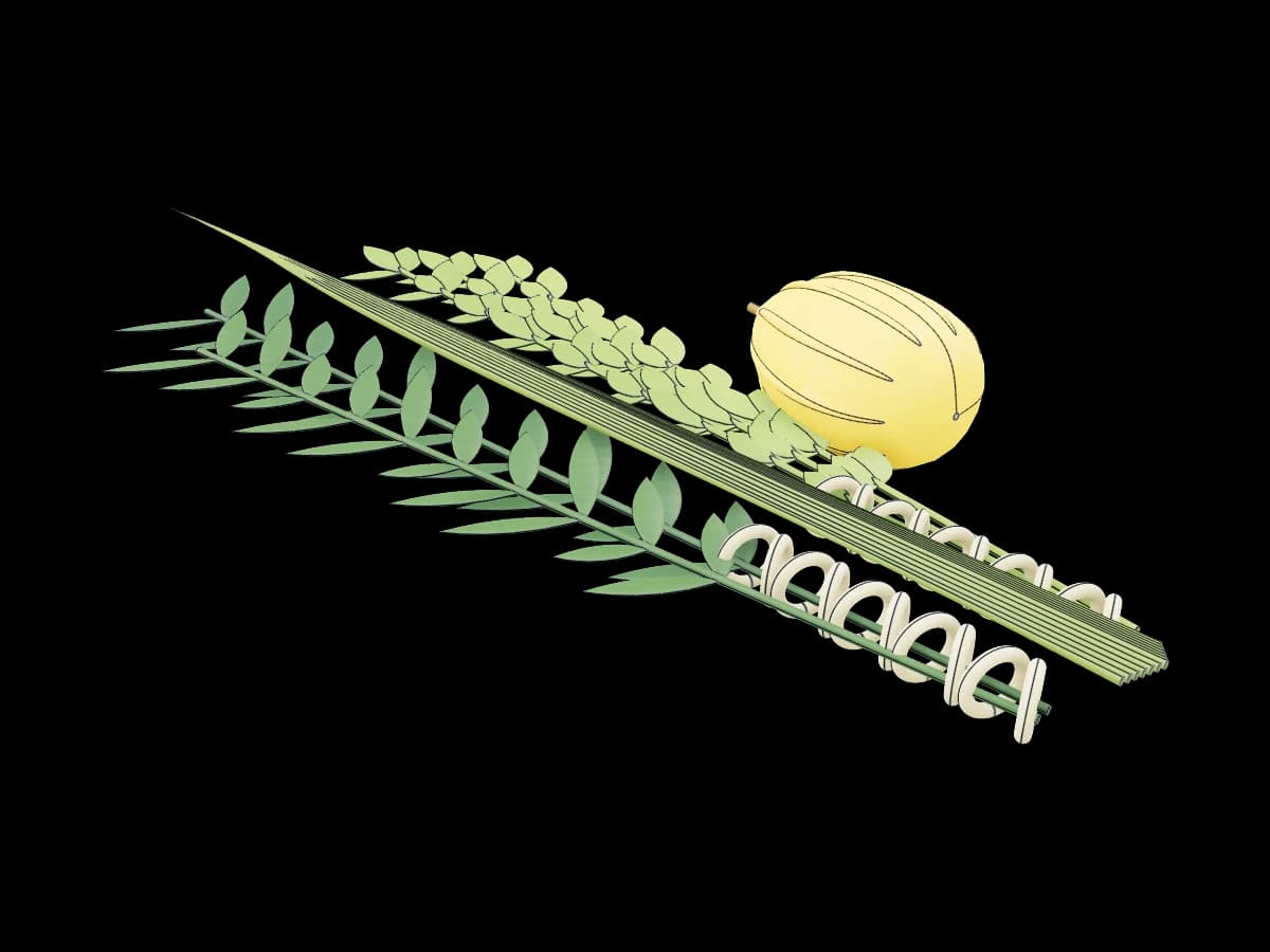 Sukkot Four Species