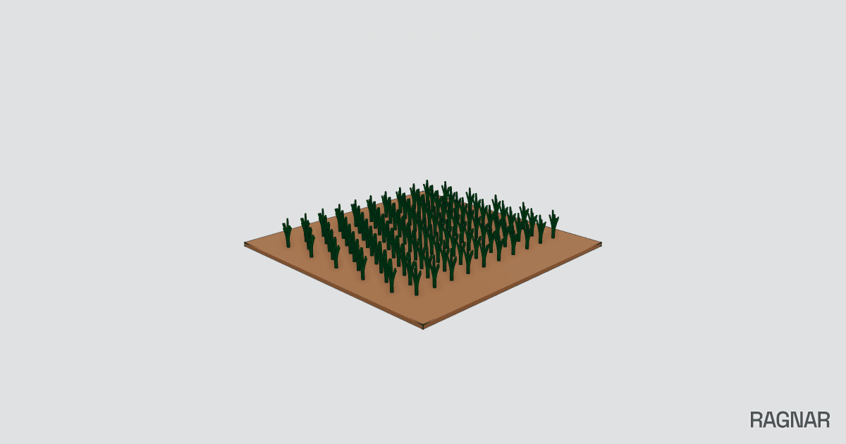 Grassy Field