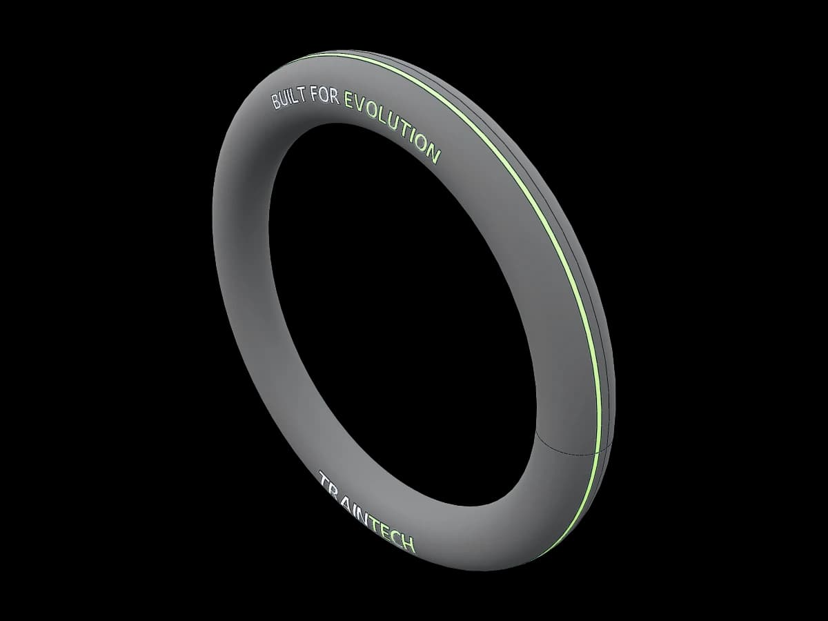 Traintech Gymnastics Ring