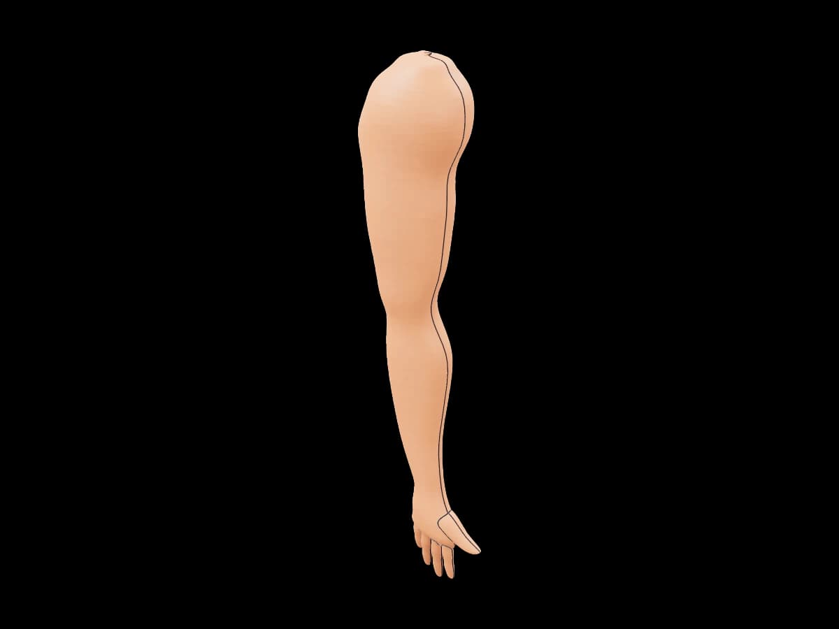 Three Dimensional Arm