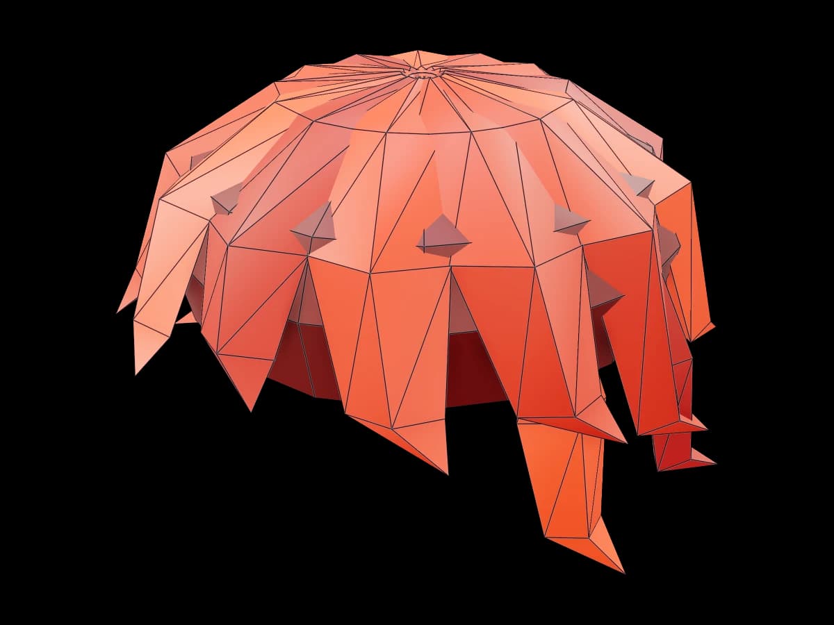 Roblox Hair Accessory