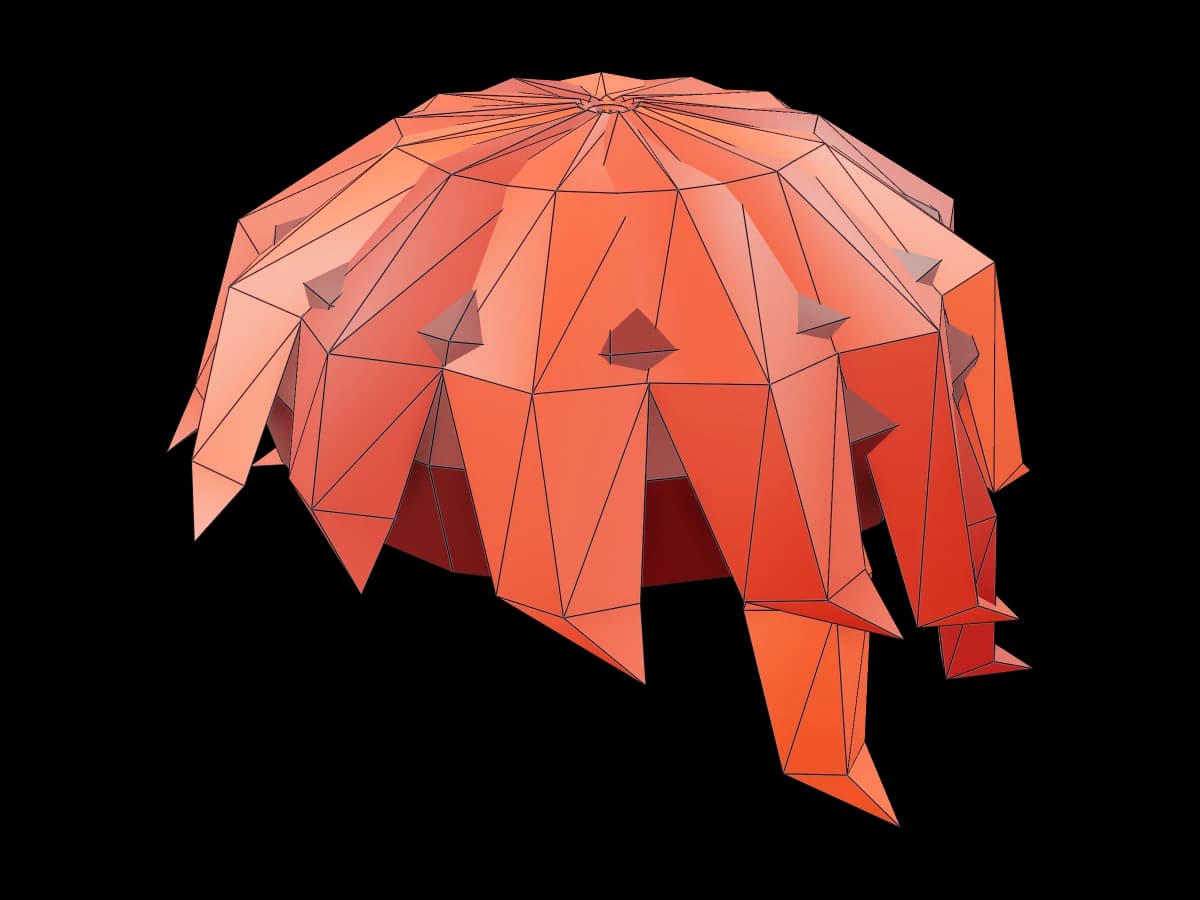Roblox Hair Accessory