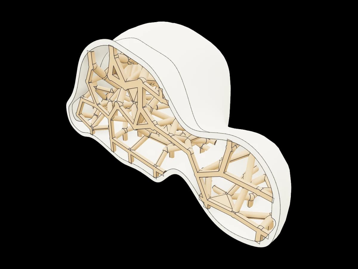 Human Talus Bone
