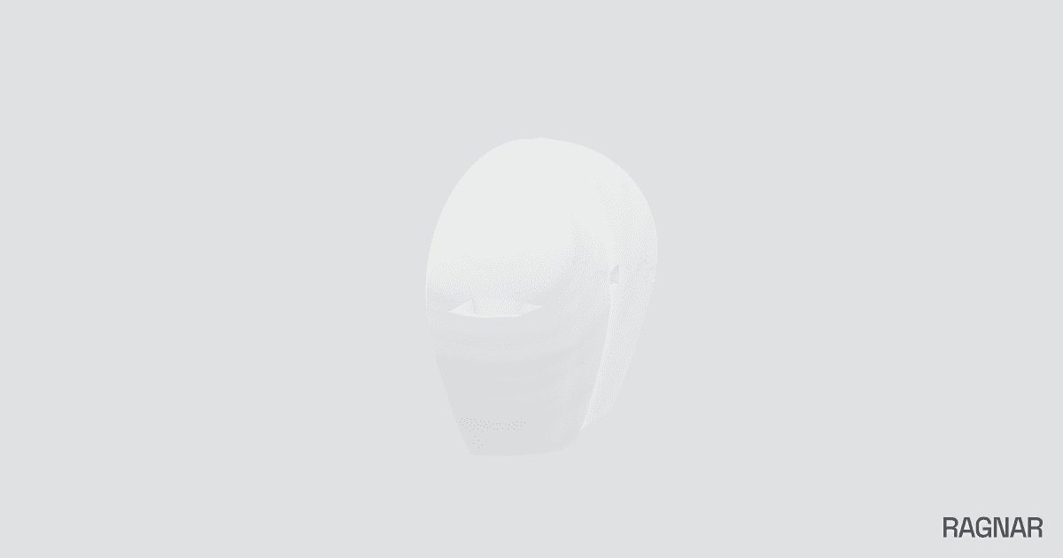 Full Face Mask