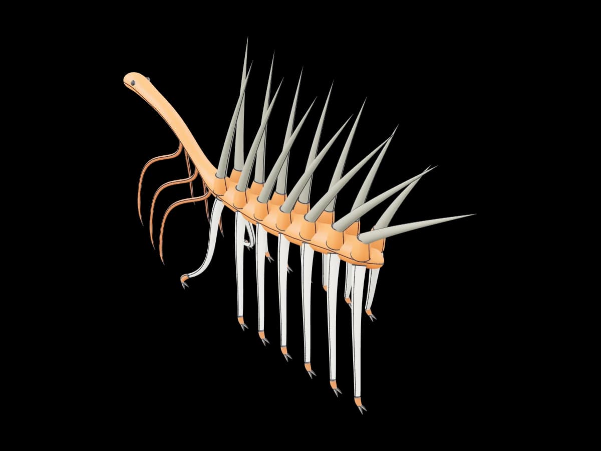Hallucigenia Prehistoric Creature