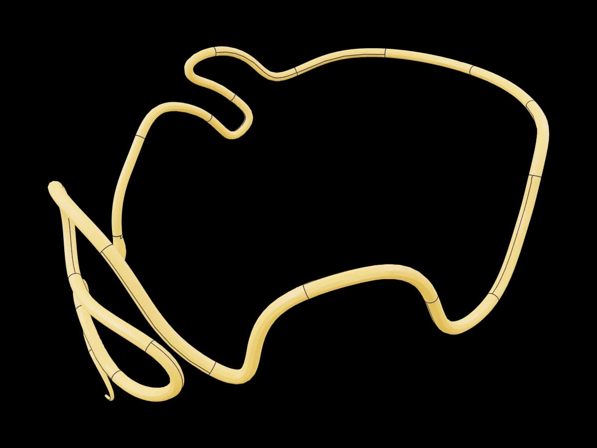 Gold Serpent Crown
