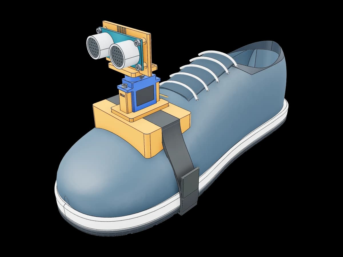 Sensor Mounted Shoe