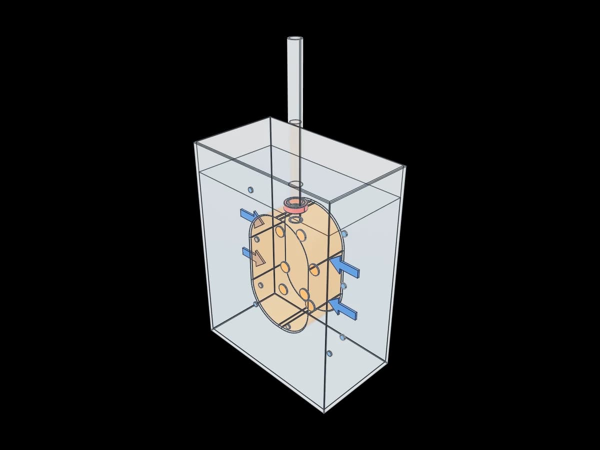 Osmosis Educational Cutaway
