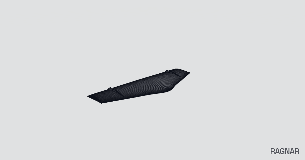 Black Kite Wing