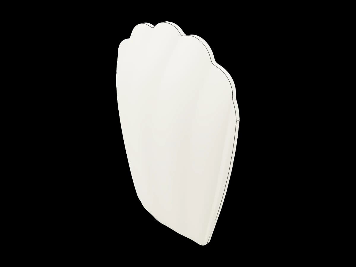 Scalloped Ribbed Shell