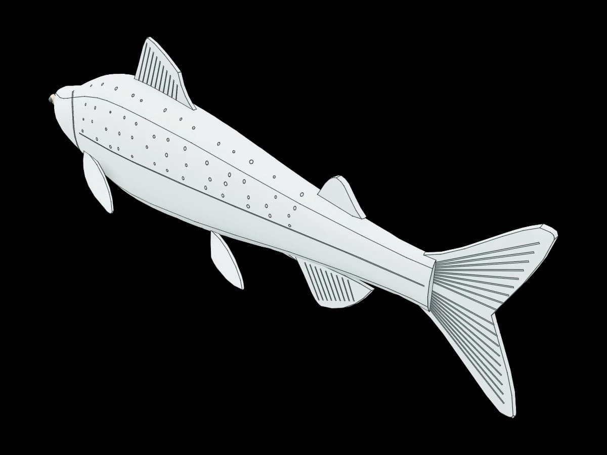Anatomical Fish Model