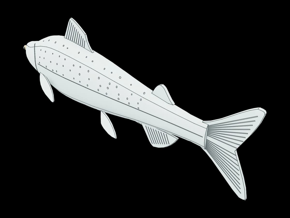 Anatomical Fish Model