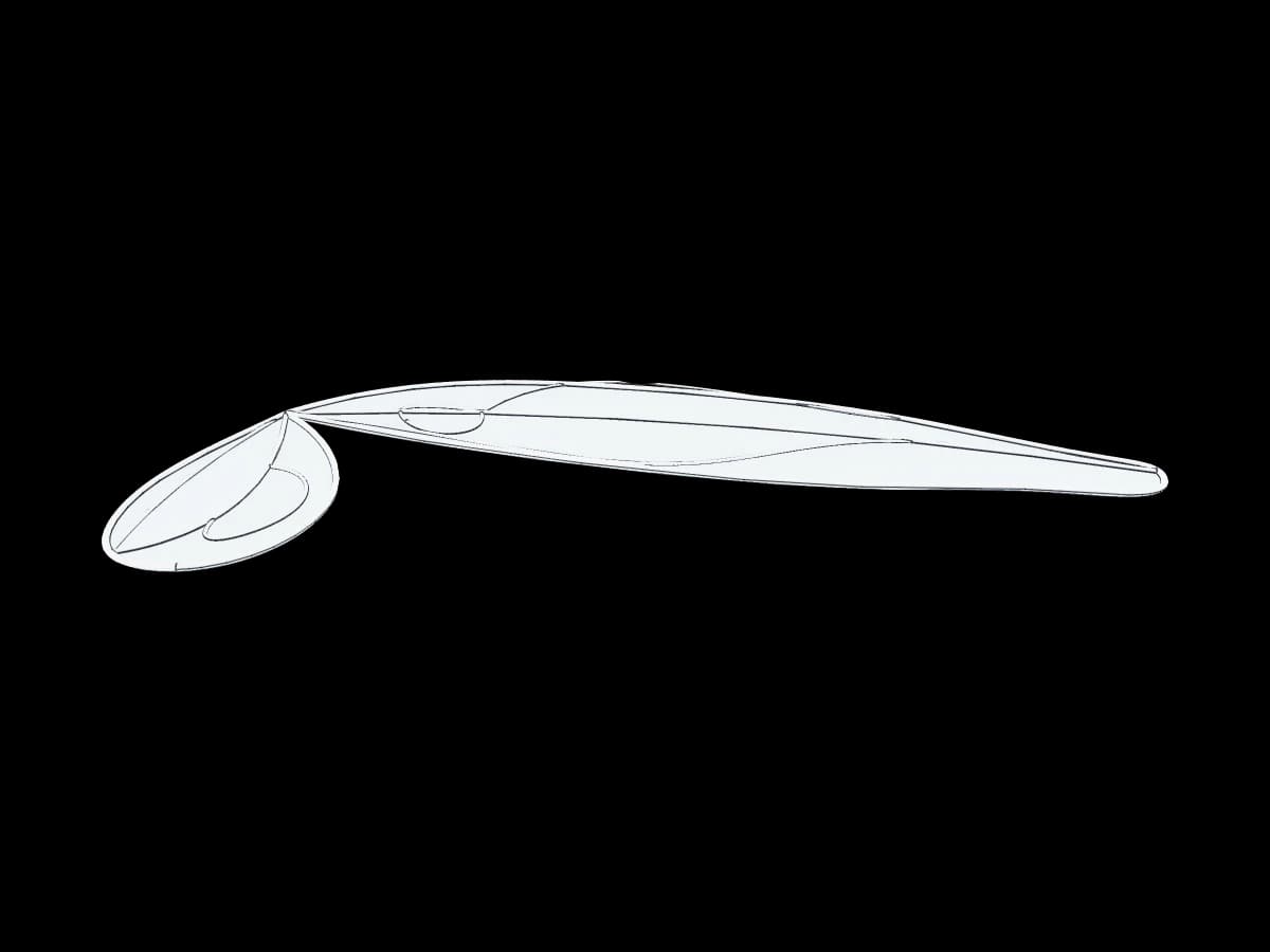 Fairy Wing