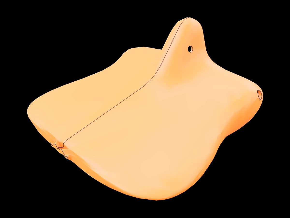 Perry Platypus Mask