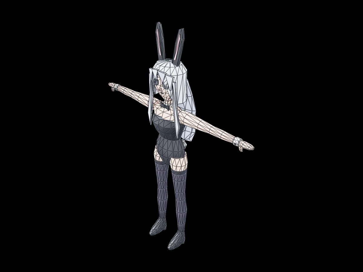 Bunny Suit Girl