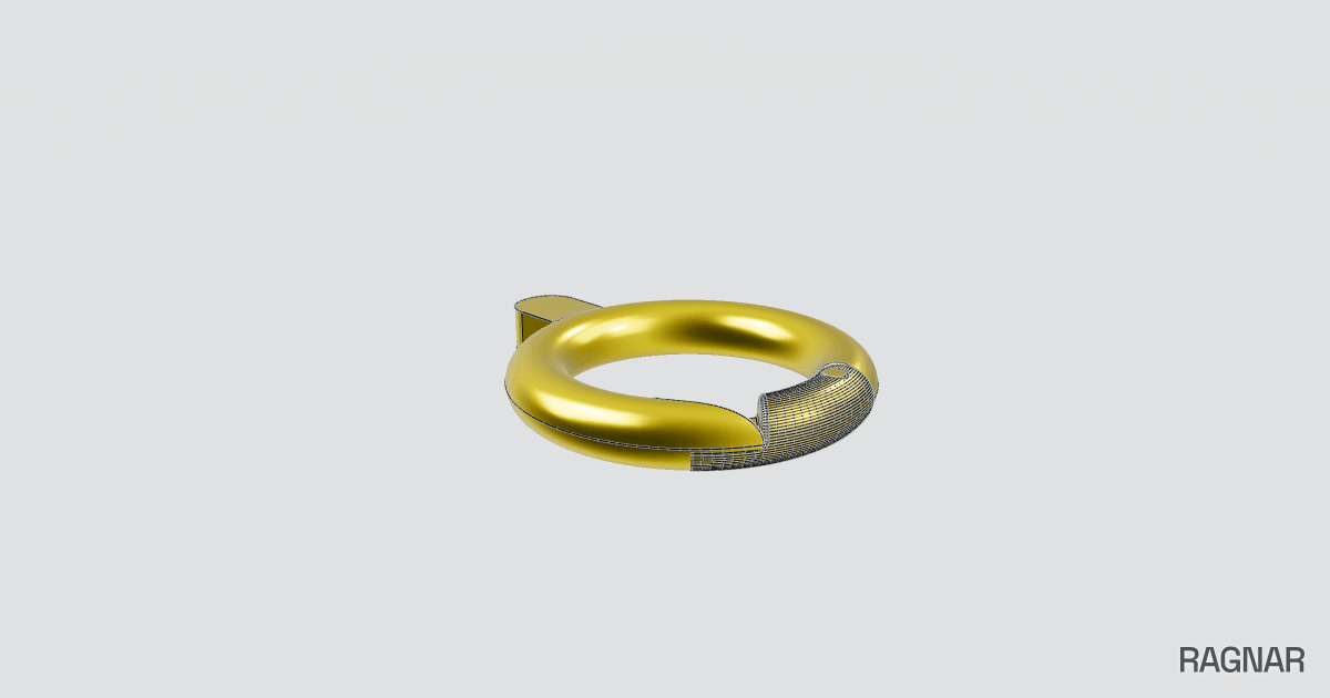 Detachable D-Ring Hardware