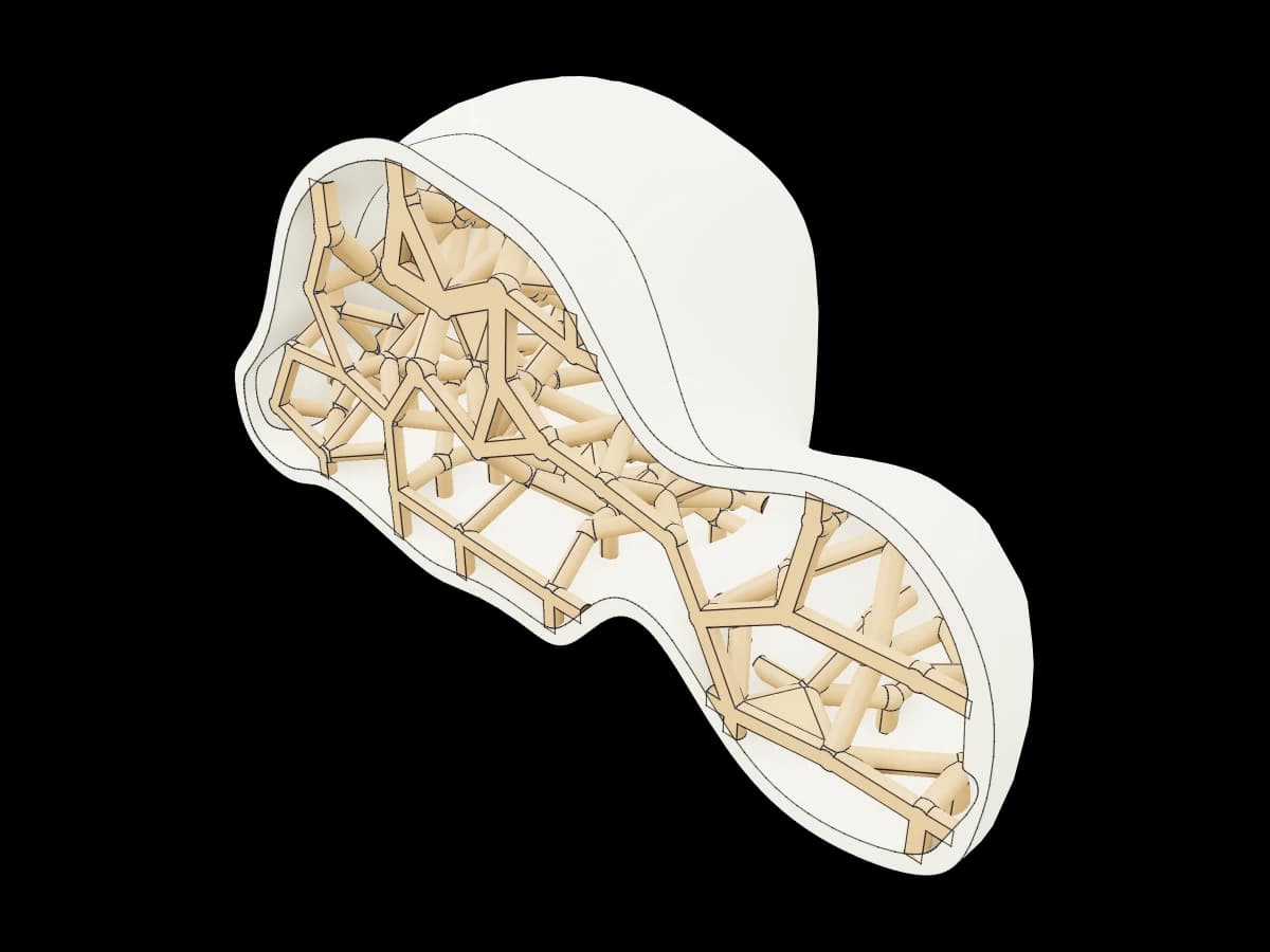 Human Talus Bone
